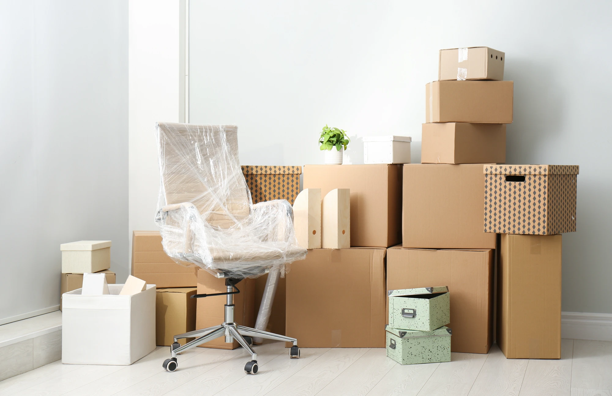 Professional Mover