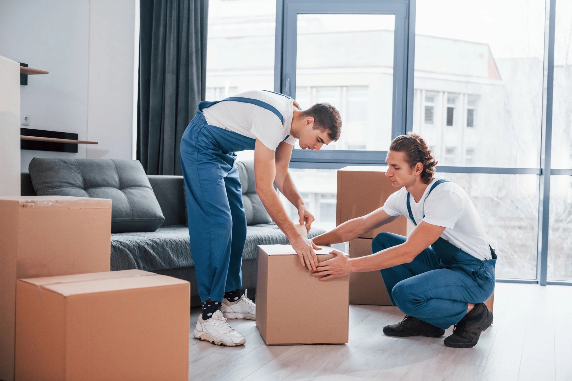 Professional Mover