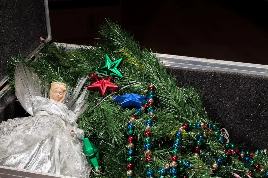 Christmas Tree Disposal