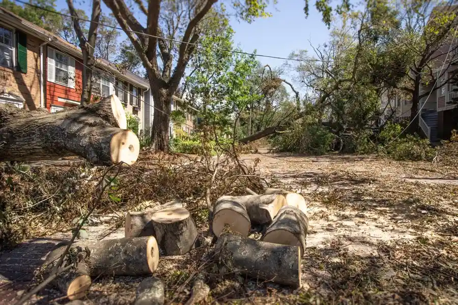 Storm Debris Disposal